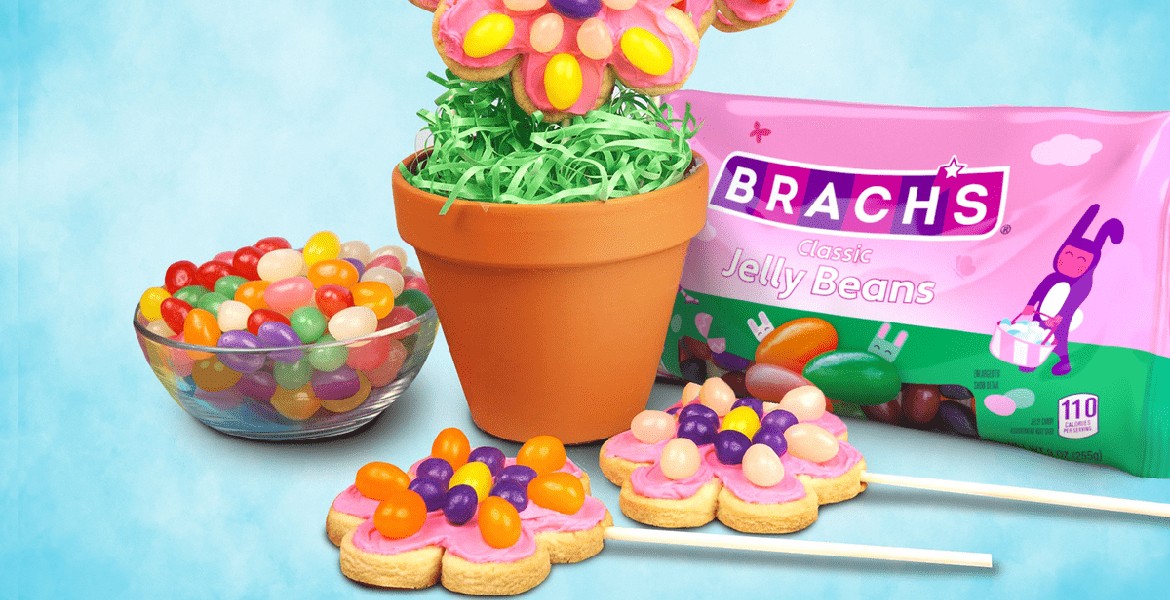 Brach's Easter Candy Jelly Beans, 54 Ounce (Pack of 2) : : Grocery  & Gourmet Food
